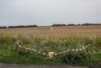 The body of a Malaysia Airlines Flight 17 passenger lying in a field near the village of Hrabove in the Donetsk region. The Boeing 777, which was en route from Amsterdam to Kuala Lumpur, was shot down by a Buk surface-to-air missile on July 17, 2014. All 283 passengers and 15 crew members on board died; there were no survivors. Dutch investigators concluded that while the missile was fired from territory controlled by the “DNR,” the Buk belonged to the Russian Armed Forces. Russia has categorically denied any involvement in the incident.