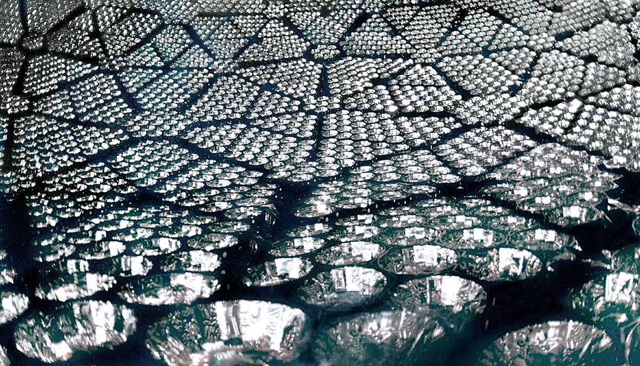 Фото: Roy Kaltschmidt / Lawrence Berkeley Natʼl Lab (CC BY-NC-ND 2.0)