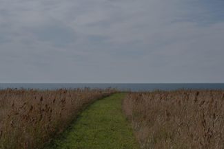 The cliff on Māris Dadzis’s property. July 2024. 