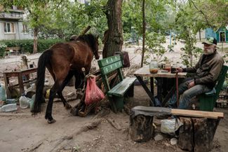 Житель Северодонецка (Луганская область) рядом со своей лощадью. Недалеко от места, где они находятся, идет обстрел. 18 мая 2022 года