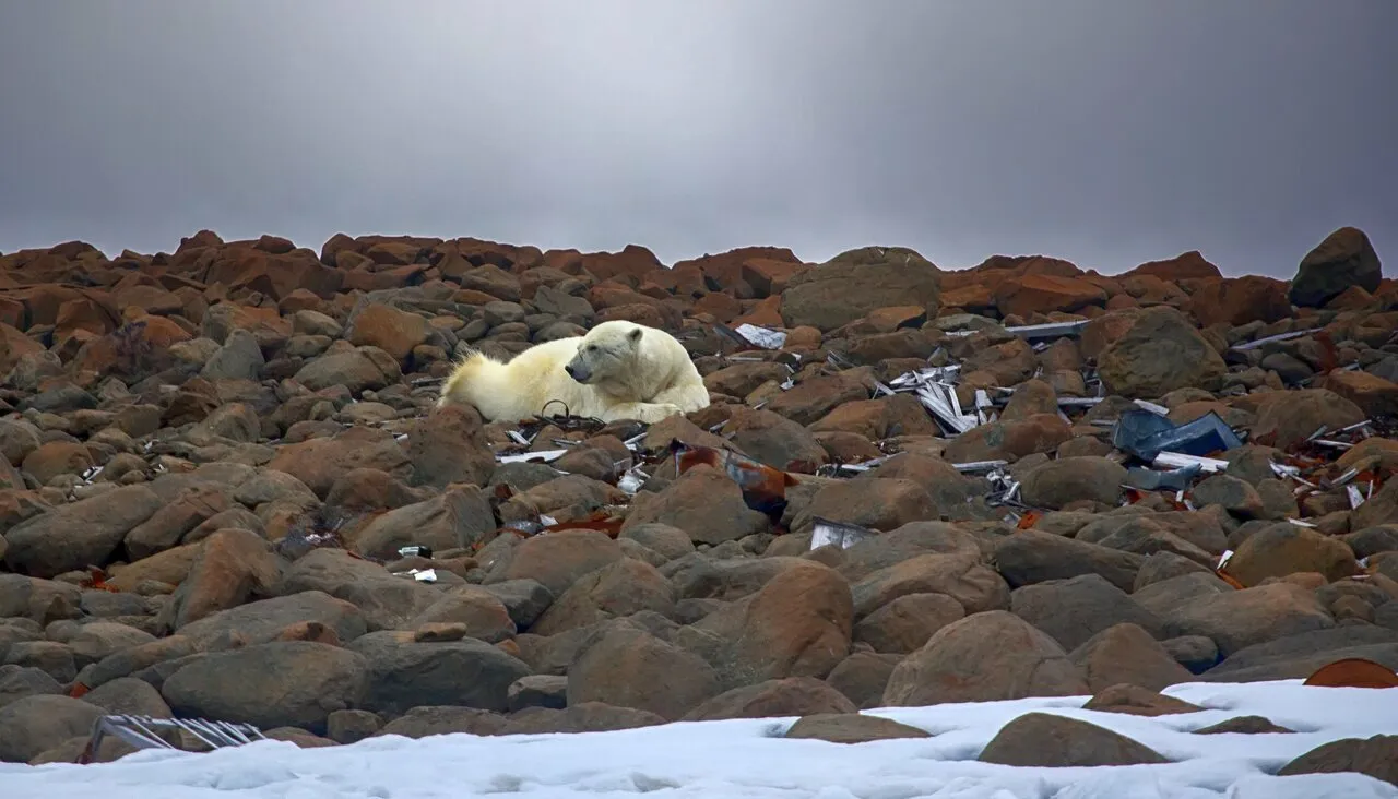 Maksimilian / Shutterstock.com