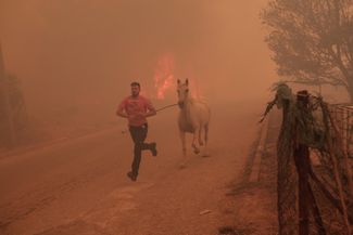 Фермер спасает лошадь от огня во время лесного пожара в городке Фили недалеко от Афин, Греция. В пожарах на северо-востоке страны погибли 20 человек