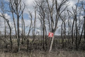  A mined forest strip on the Izyum–Slovyansk road. Russian soldiers called this section the Sherwood Forest. They tried from April to September 2022 to capture it, but in the end were forced to withdraw. A large number of mines and unexploded ordnance remain in the forest.