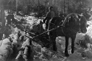 Вывоз леса по снежной дороге, Архангельская область. Фотография Макса Альперта