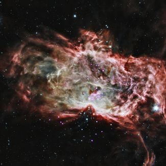 Звездообразующий кластер в Туманности Пламя, расположенной на расстоянии три тысячи световых лет от Земли