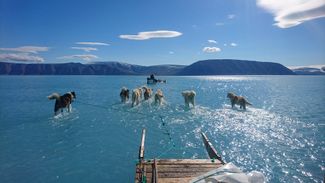 Huskies pull scientists through waters standing on a 1.2-meter-thick (4-foot-thick) ice sheet in Inglefield Bredning in northwest Greenland. June 13, 2019.