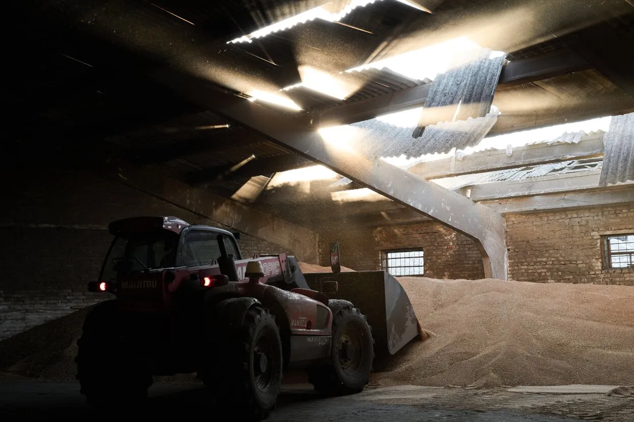 Vlada Liberova / Libkos / Getty Images