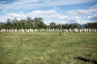 An Ingush cemetery in Tarskoye