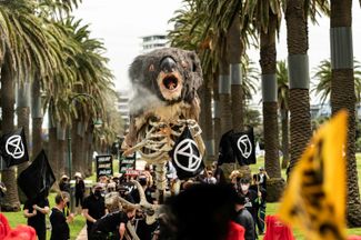 Участники движения Extinction Rebellion, борющегося с экологическими проблемами, устроили имитацию похорон коалы в Мельбурне, Австралия, 6 ноября 2021 года