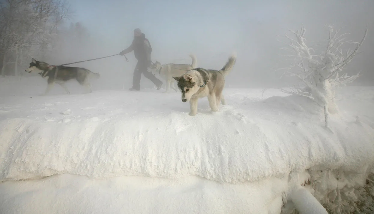 Фото: Илья Наймушин / Reuters / Scanpix