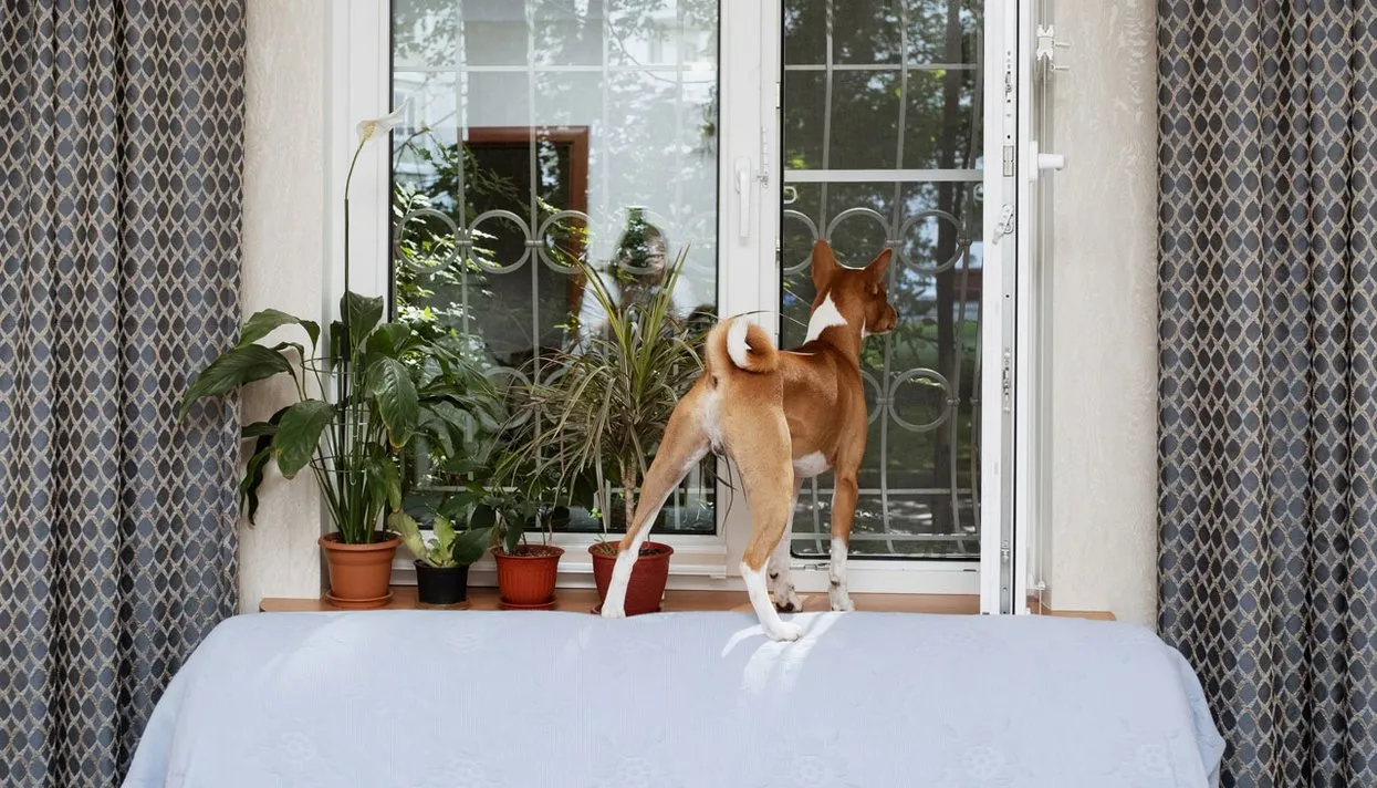 Анастасия Пожидаева для «Медузы»