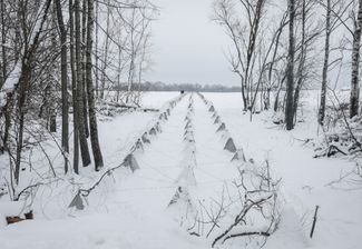 Противотанковые укрепления, получившие название «зубы дракона». Они расположены недалеко от российской границы