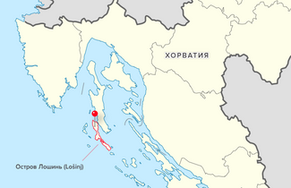 Остров Лошинь расположен в северной части Адриатического моря