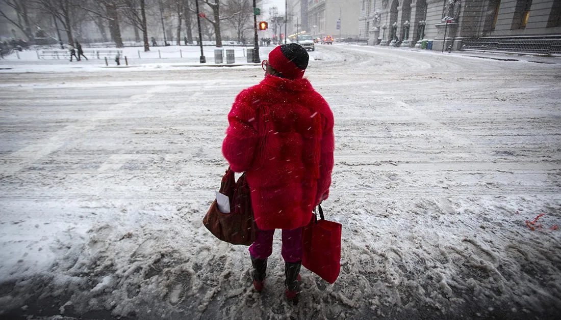 Фото: Andrew Kelly / EPA