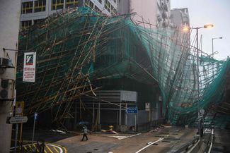 Разрушенные тайфуном леса в Гонконге