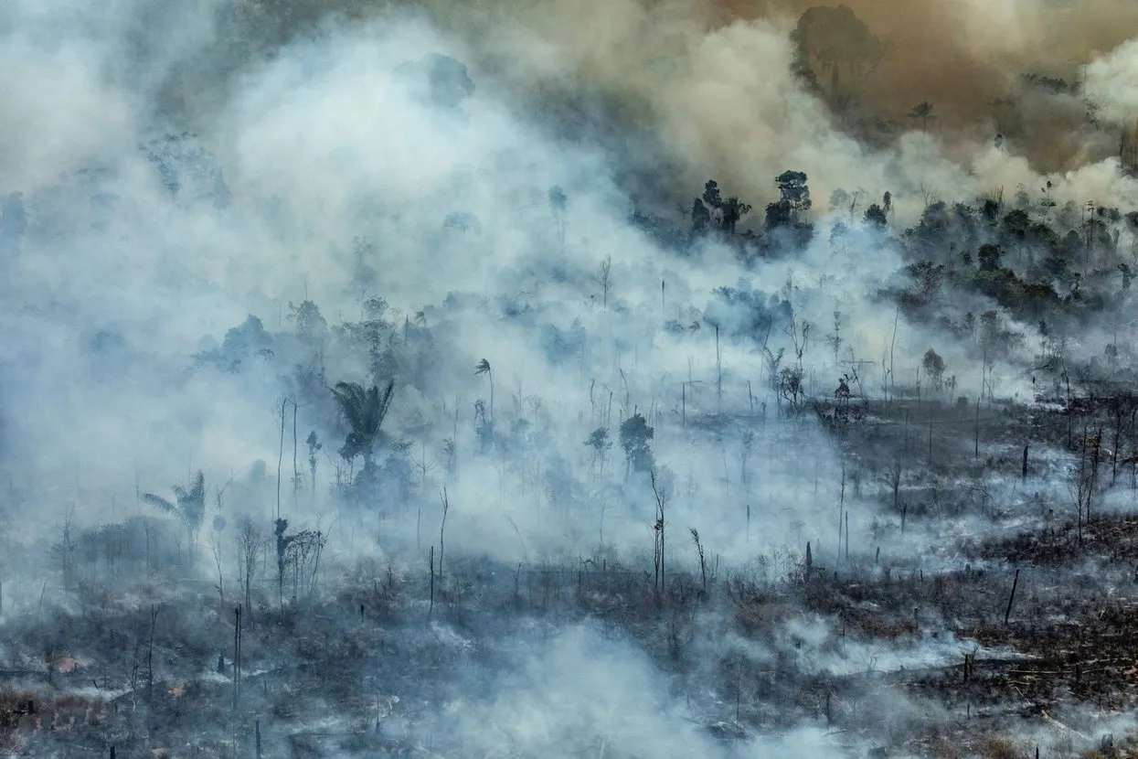 Victor Moriyama / Greenpeace Brazil / EPA / Scanpix / LETA