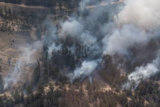 Wildfires in the Abai region, June 2023