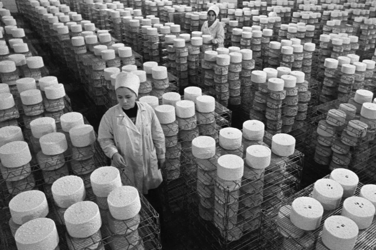 Александр Овчинников / ТАСС