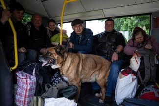 Люди с собакой в эвакуационном автобусе недалеко от города Лимана. По <a href="https://www.facebook.com/GeneralStaff.ua/posts/314771530835932" rel="noopener noreferrer" target="_blank">данным</a> Генштаба ВСУ, на город наступают российские войска