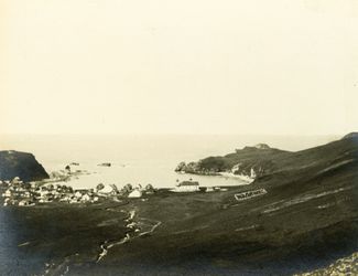 The shore of Medny Island. Approximately 1882–1916