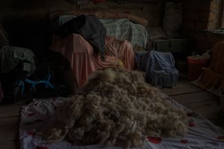 Большинство жителей сельских районов Армении держат овец. Из овечьей шерсти они делают одеяла. На фото — чердак, где сушится вымытая и обработанная шерсть. На следующий день придет соседка и поможет сделать шерстяное одеяло. Чамбарак, Армения