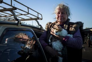 В Запорожье эвакуируют людей из оккупированных регионов, или тех, где идут активные боевые действия. На фото — эвакуированная женщина со своей кошкой