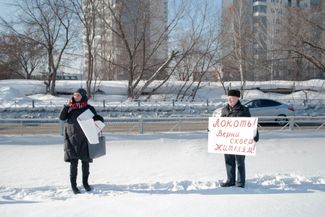 Около 20 жителей новосибирского Академгородка вышли на одиночные пикеты, призывая мэрию расторгнуть сделку по продаже участка на улице Демакова. 23 февраля 2021 года