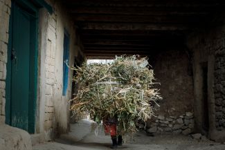Заготовка сена в селе Балхар Акушинского района Дагестана
