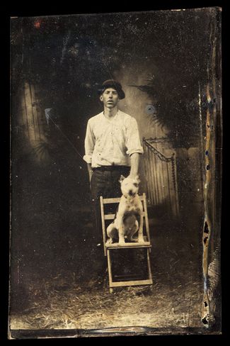 Портрет молодого человека с собакой породы американский питбультерьер