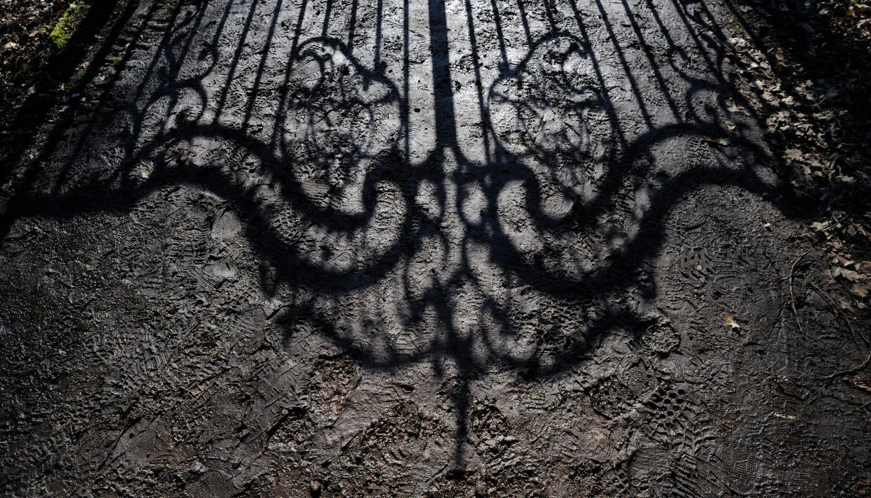 Фото: Buiten-Beeld / Alamy / Vida Press