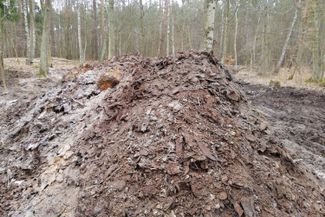 The mounds of shoes Grzegorz Kwiatkowski found in the forest near the former Stutthof camp