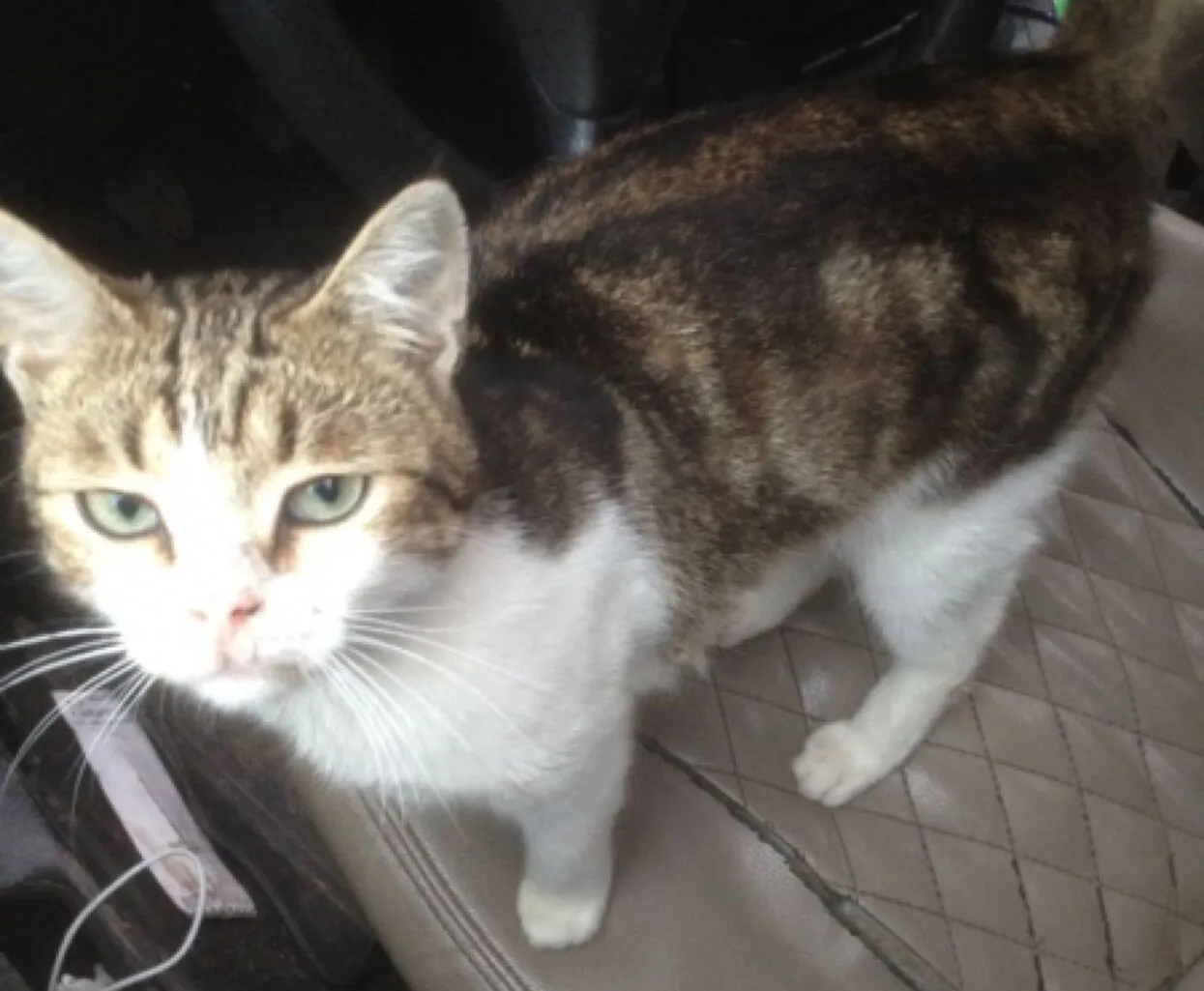 Tula regional police headquarters