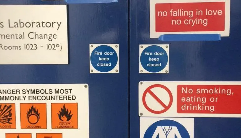 Фото: FliesInLakes / Twitter