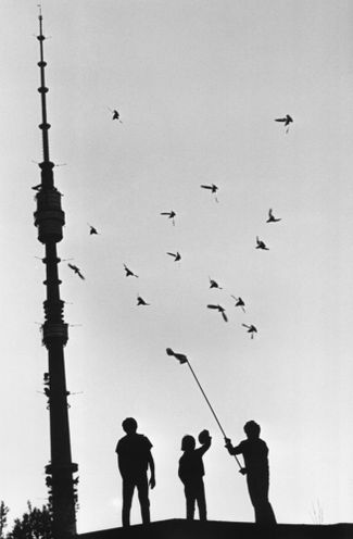 Pigeon keepers. 1972.