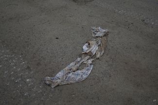 Человеческий скелет, найденный украинскими военными на аэродроме