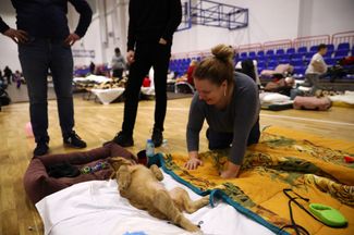 Собака и ее хозяйка отдыхают в в приюте для украинских беженцев в Перемышле, Польша 28 февраля 2022 года