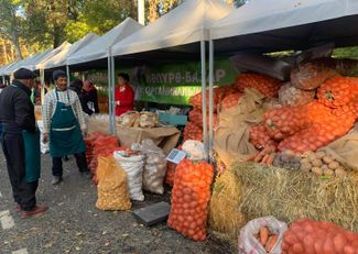 An organic produce market in Bishkek, 2022