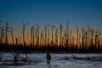 Боец «Эдельвейса» на рассвете выдвигается на штурм позиций ВС РФ в лесу под Синьковкой на Купянском направлении