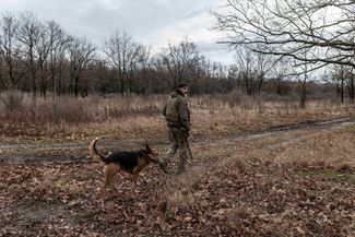 Украинский военный с собакой на позициях под Горловкой