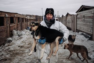 Волонтер фонда «Собака счастья» несет собаку в вольер перед отправкой из Бурятии