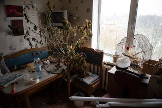 Засохшие растения в квартире жительницы Гостомеля Галины Пономаревой. Во время оккупации чеченские солдаты загнали ее в подвал дома. Проведя там 17 дней, Пономарева скончалась.