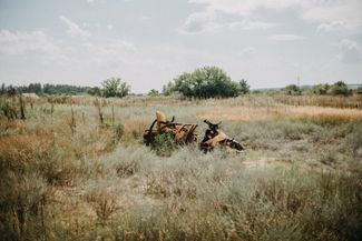 Разбитая военная техника в поле рядом с селом Студенок, в семи километрах от Святогорска