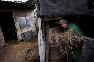 Жительница Семеновки 71-летняя Любовь Васильевна собирает сено для своей коровы