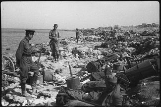 Тела убитых и раненых немцев и румын на берегу Черного моря в районе бухты Козачей под Севастополем, май 1944 года