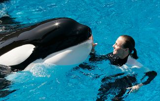 Дрессировщица Даун Бранчу, в 2010 году убитая китом