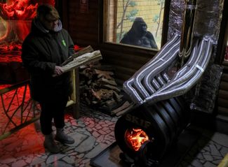 Сотрудница киевского зоопарка топит печь, чтобы согреть 48-летнюю гориллу по имени Тони во время планового отключения электричества. 31 января 2023 года