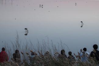 Maly Taldykol lake. Migratory birds often flock here, including flamingos. Astana, 2021.