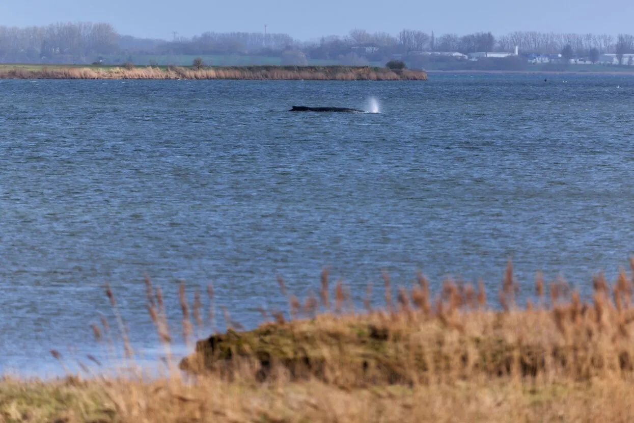 Marcus Golejewski / dpa / picture-alliance / Scanpix / LETA