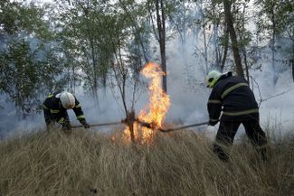 Пожарные тушат лес возле Весняного, загоревшийся после российского обстрела