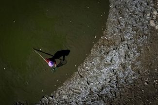 Мертвая рыба на берегу пересохшего озера Поянху. 26 августа 2022